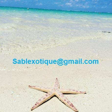 Pointe d'EsnySablexotiqueアパートメント エクステリア 写真